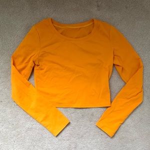 Long Sleeve Crop Top